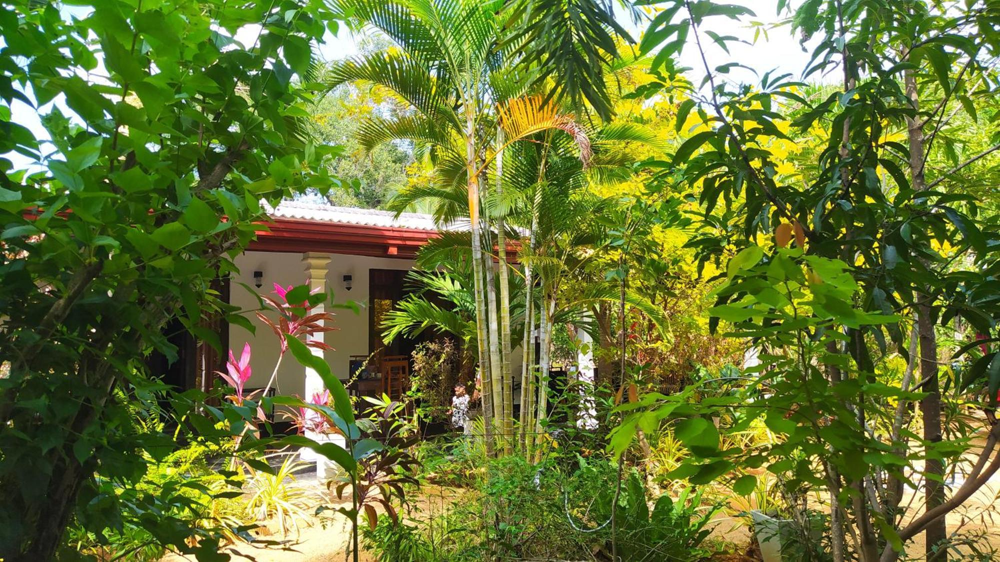 Yashi'S Place Σιγκιρίγια Εξωτερικό φωτογραφία